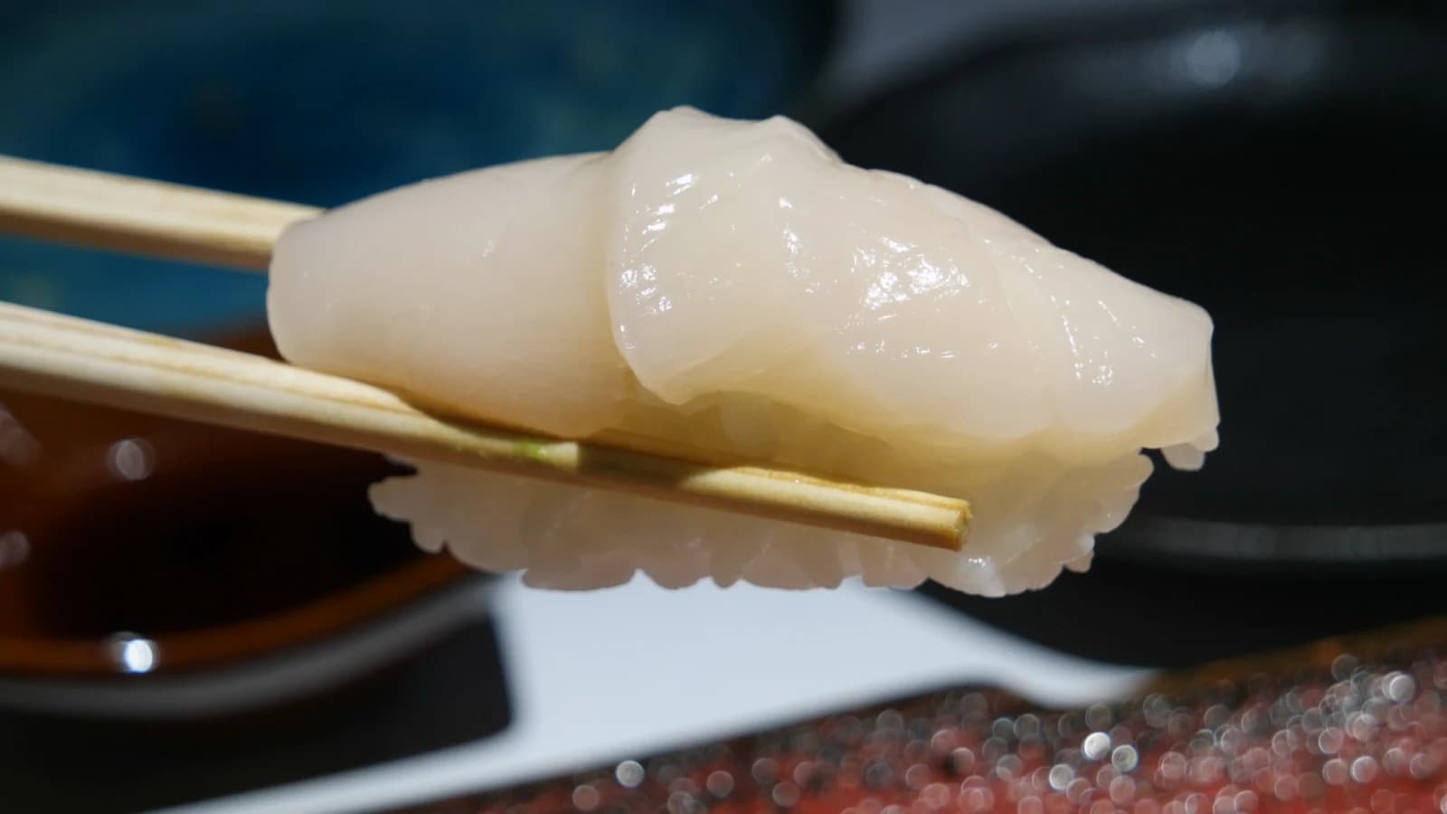 Saint-Jacques d'Hokkaido sur sushi, chair épaisse blanc nacré pleine et charnue