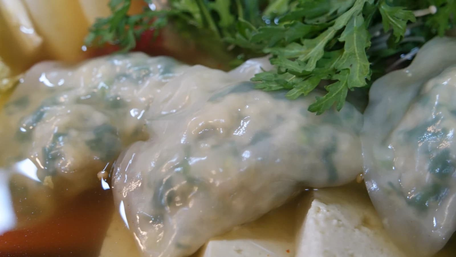 Extreme close-up of a single dumpling — paper-thin wrapper revealing chive filling inside
