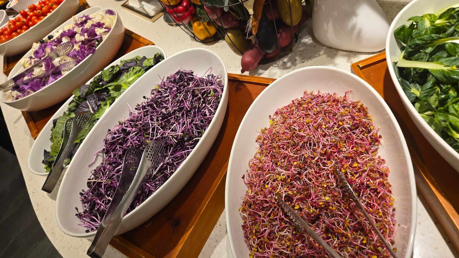 Kona ya mboga maalum, miche ya kabichi nyekundu, miche ya radishi na kale katika bakuli tofauti | 하이제이에스비