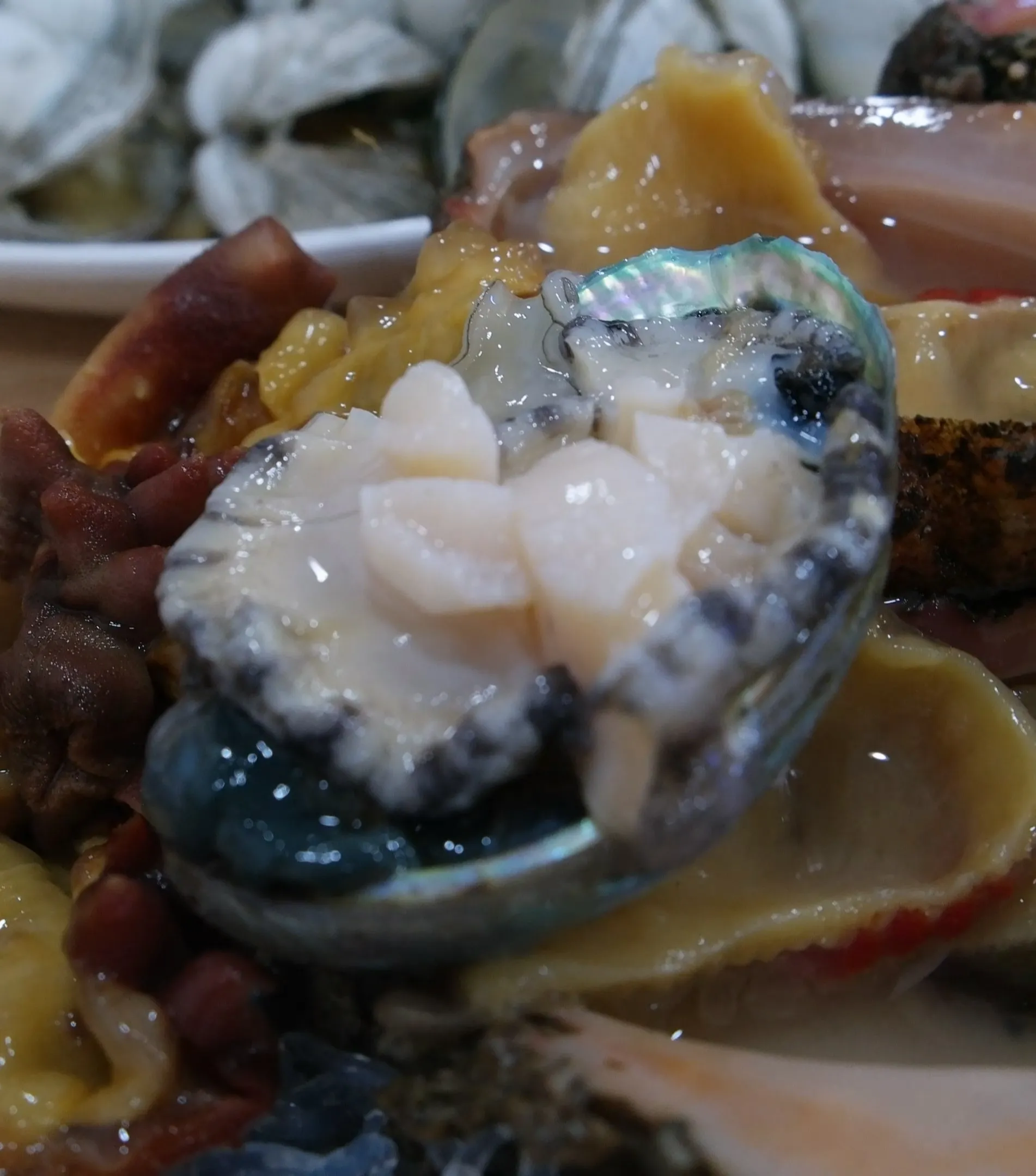 Суров абалон, поднесен в черупката, с перлено месо отблизо | 하이제이에스비