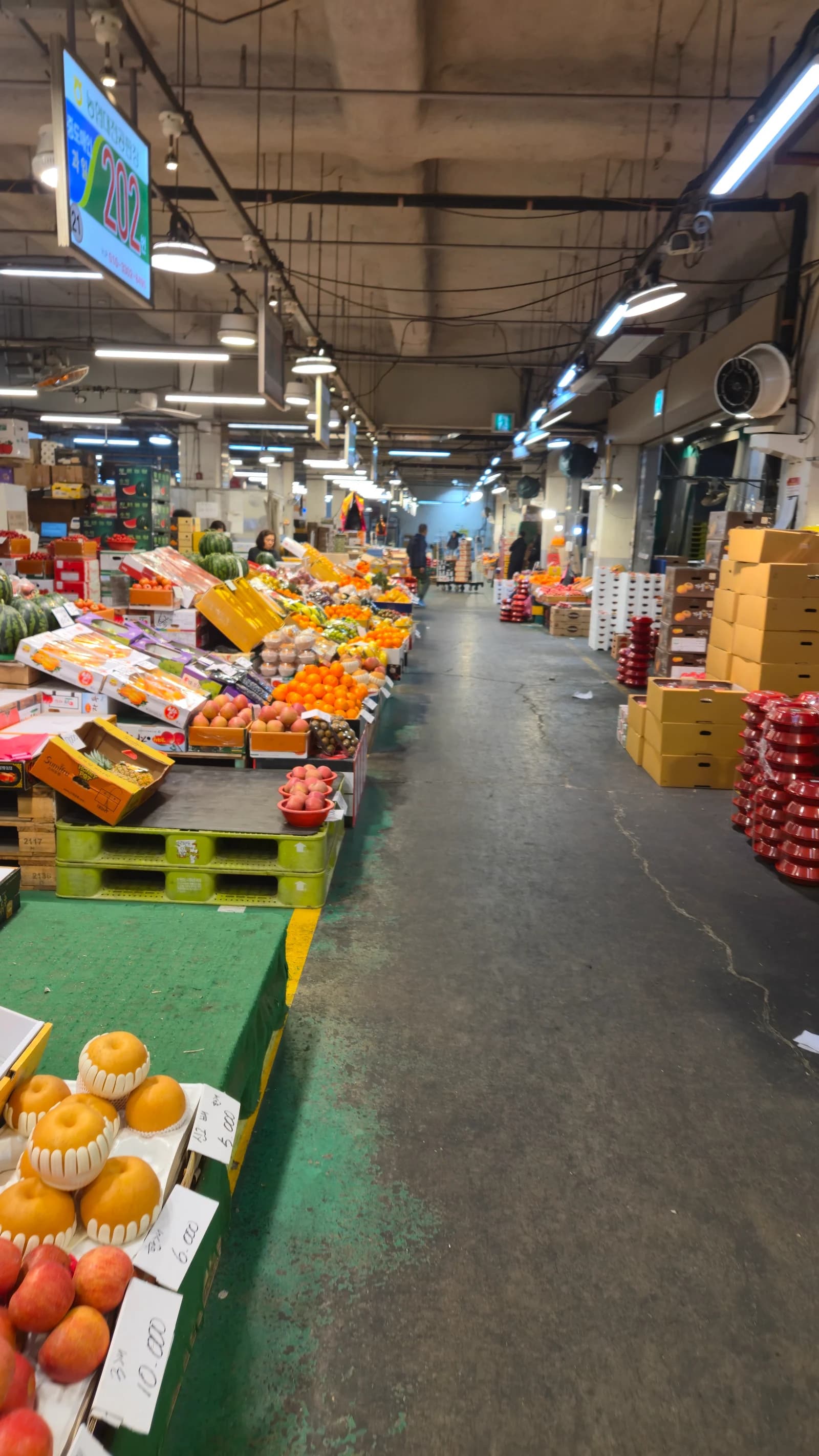 한국 농수산물 시장 과일 청과 코너 전체 모습, 수박 참외 사과 배 귤 토마토가 양쪽으로 진열되어 있다
