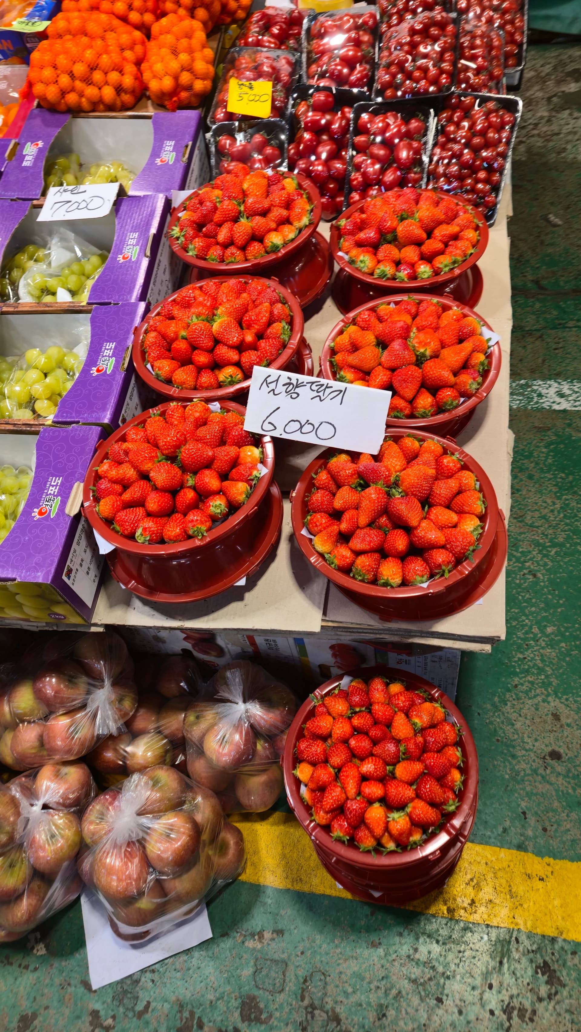 설향딸기 6000원 가격표가 붙은 가게, 옆 가게와 가격 차이가 보인다