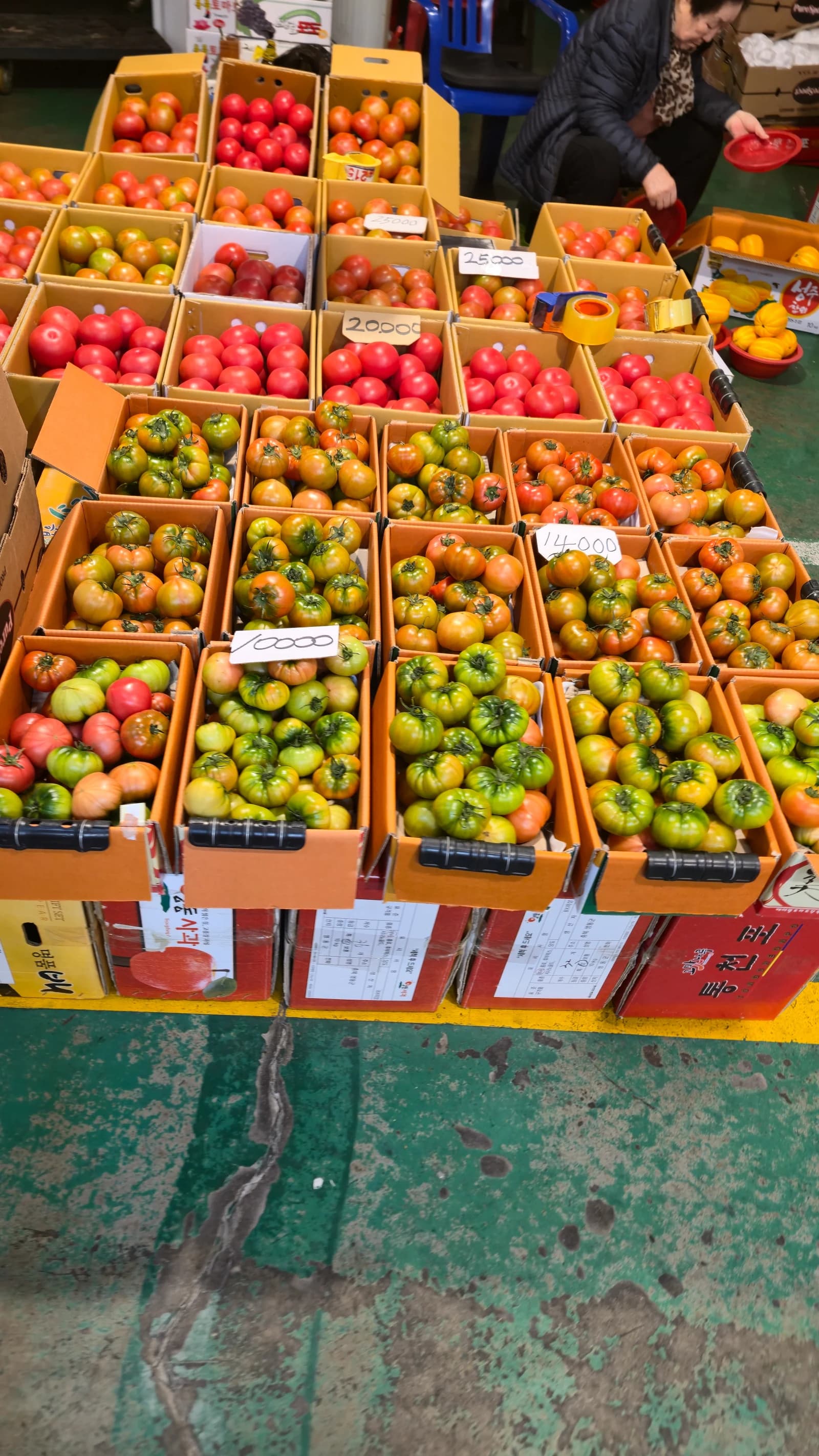 한국 전통시장 토마토 코너, 빨간 완숙 토마토와 초록빛 대저토마토가 박스째 진열되어 있다