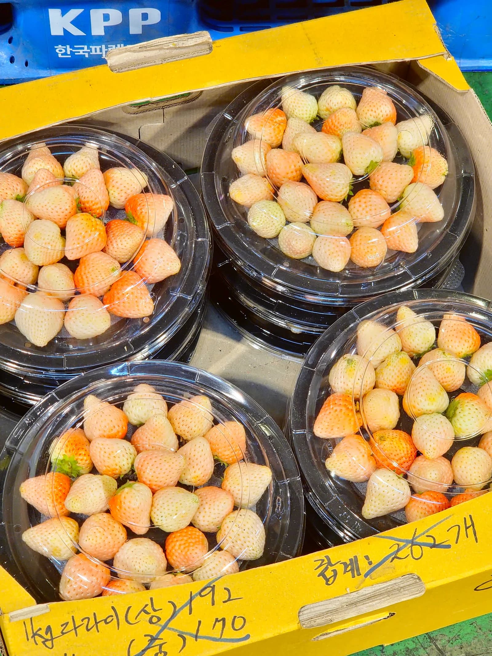 하얀 딸기 만년설 딸기 1kg 19000원, 한국 전통시장에서만 볼 수 있는 희귀 품종