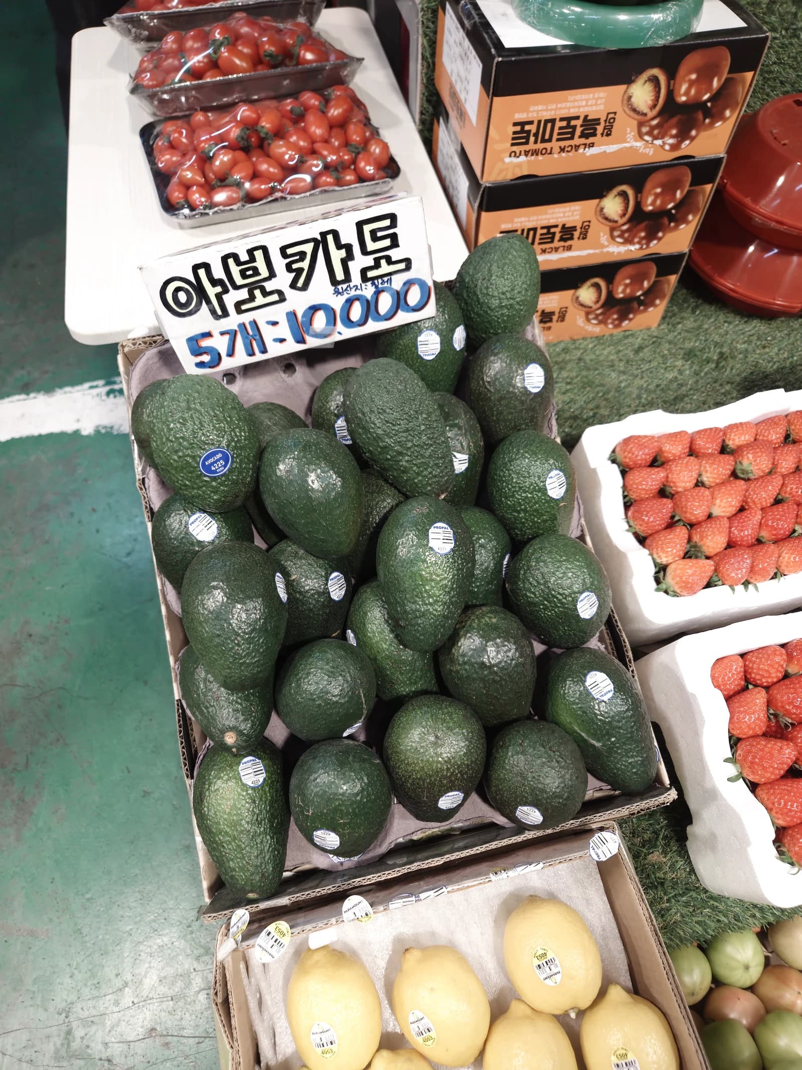 아보카도 5개 10000원, 레몬과 흑토마토가 함께 보이는 한국 전통시장 진열대
