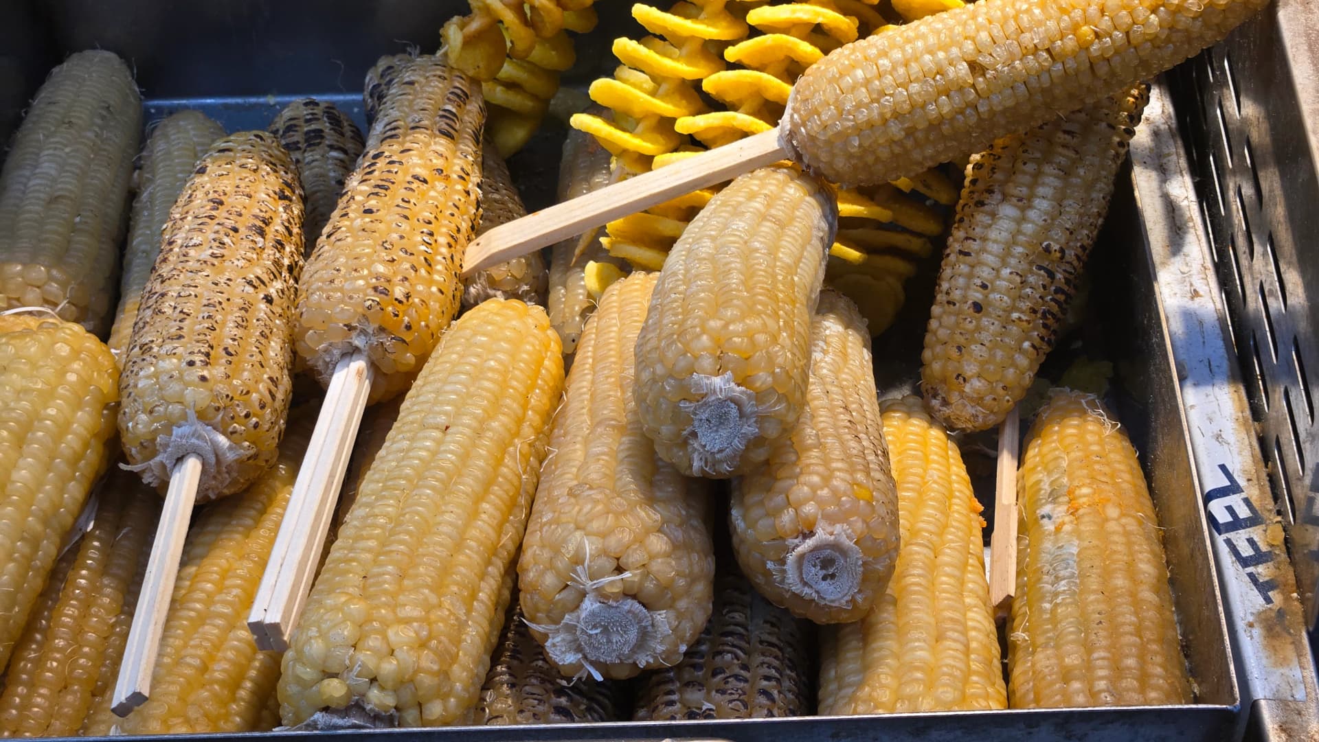 Gedämpfter Mais auf dem Seomun-Markt — Maiskolben auf einem Spieß | 하이제이에스비