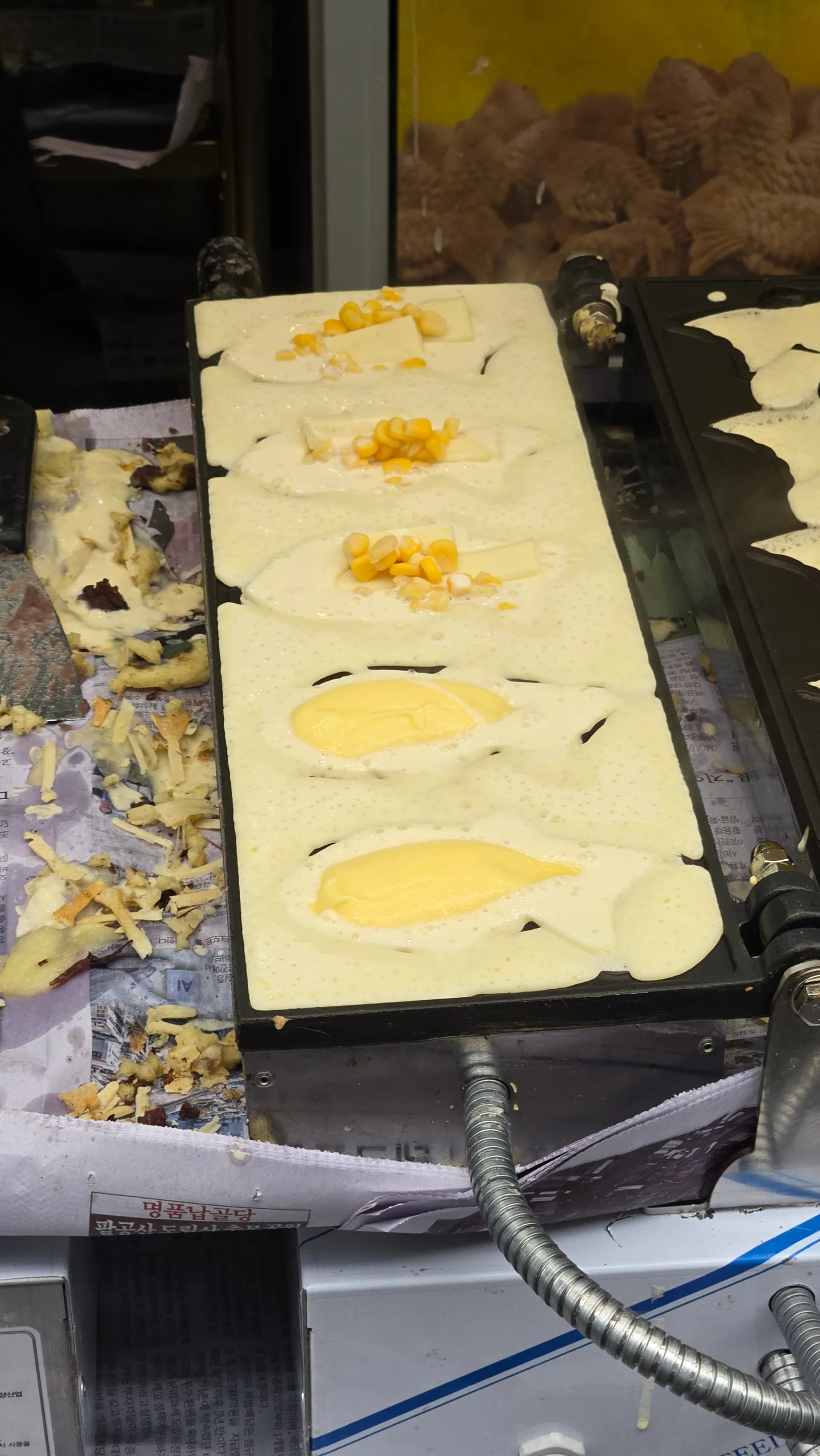 ພິມບຸງອ໋ອບປັງ ໃສ້ຄຣີມ custard ແລະ ເນີຍແຂງສາລີ | 하이제이에스비