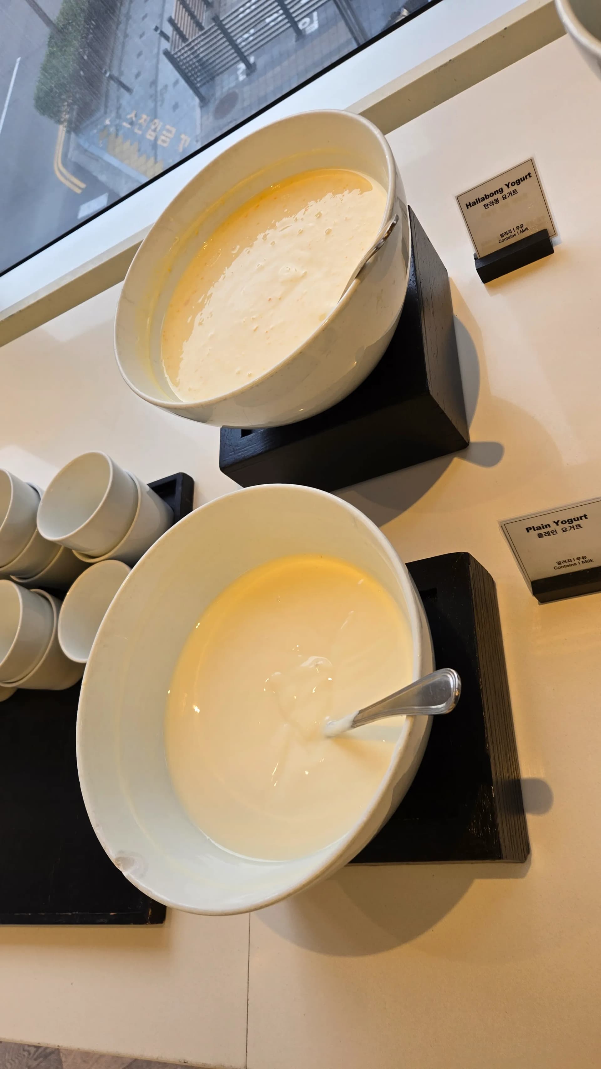 ركن زبادي في بوفيه الفطور مع زبادي سادة وزبادي هالابونغ بنكهات حمضيات