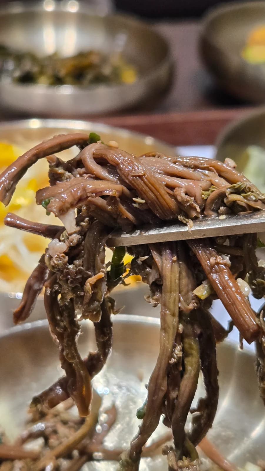 나물 젓가락으로 집어올린 모습 들기름 윤기