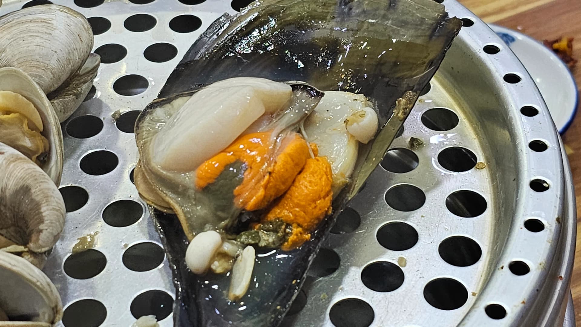 Primer plano de la almeja pluma abierta mostrando su gónada anaranjada y músculo blanco