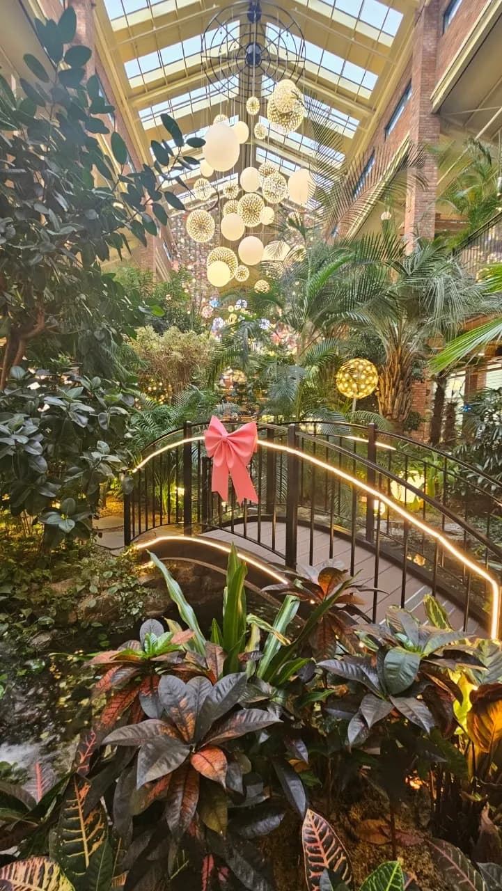 포레스트 아웃팅스 야자수와 물길 사이로 보이는 둥근 조명과 열대식물 | 하이제이에스비