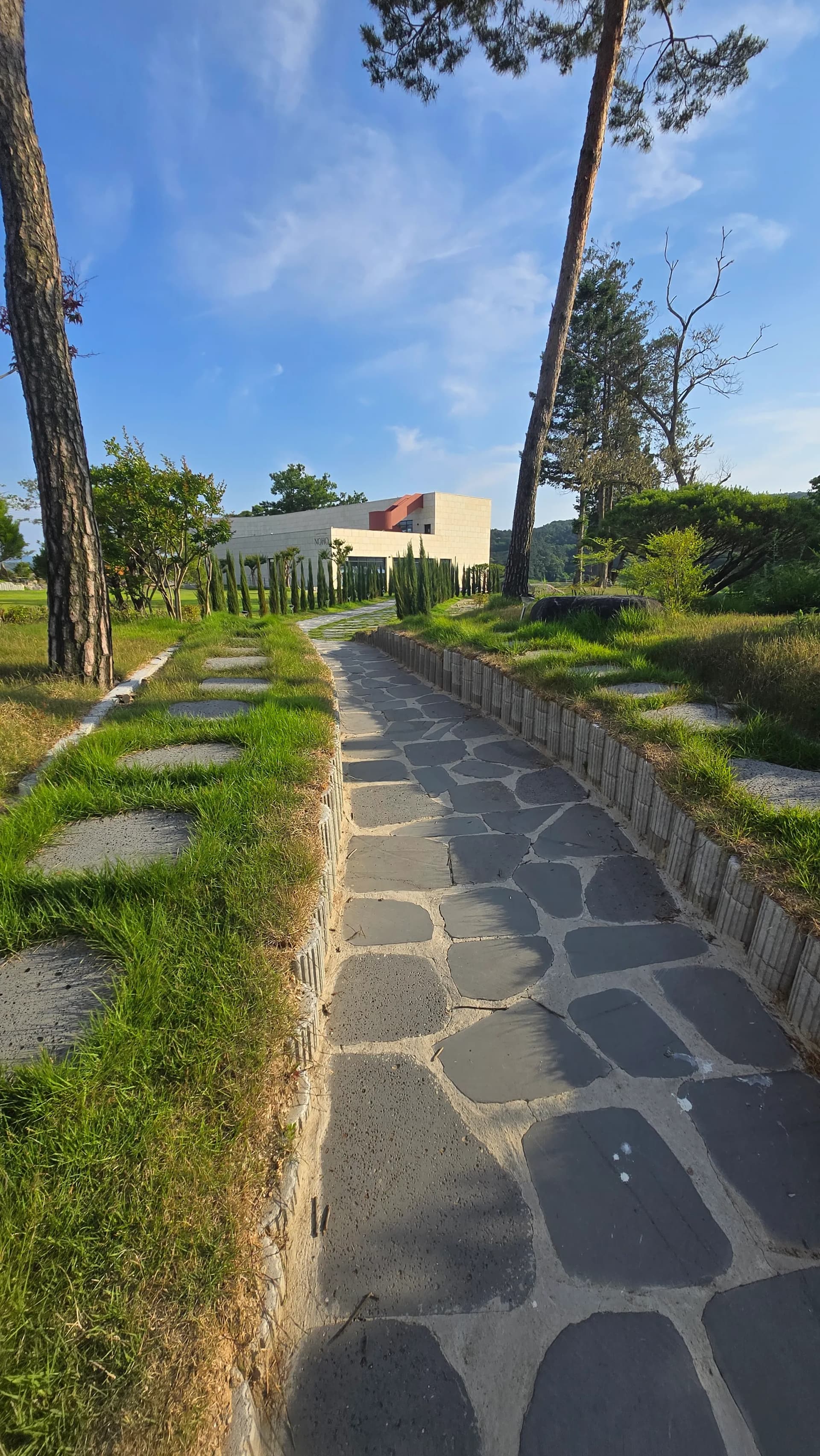 카페 노호 주차장에서 매장까지 돌길 산책로 소나무 조경 세종 부강면 금강자전거길 | 하이제이에스비