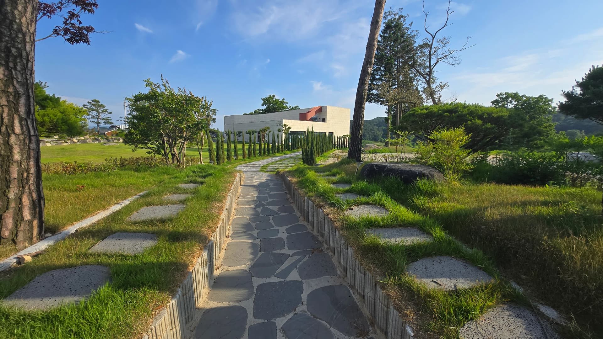 카페 노호 NOHO 진입로 돌길 산책로 잔디밭 편백나무 전경 세종 카페 드라이브 | 하이제이에스비
