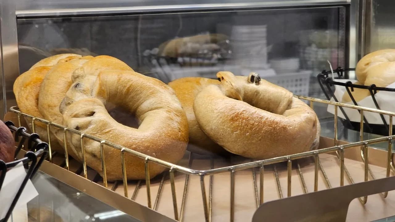 Pretzel bagel na PETRA - fuskar launin ruwan kasa mai haske tare da manyan gishiri | 하이제이에스비