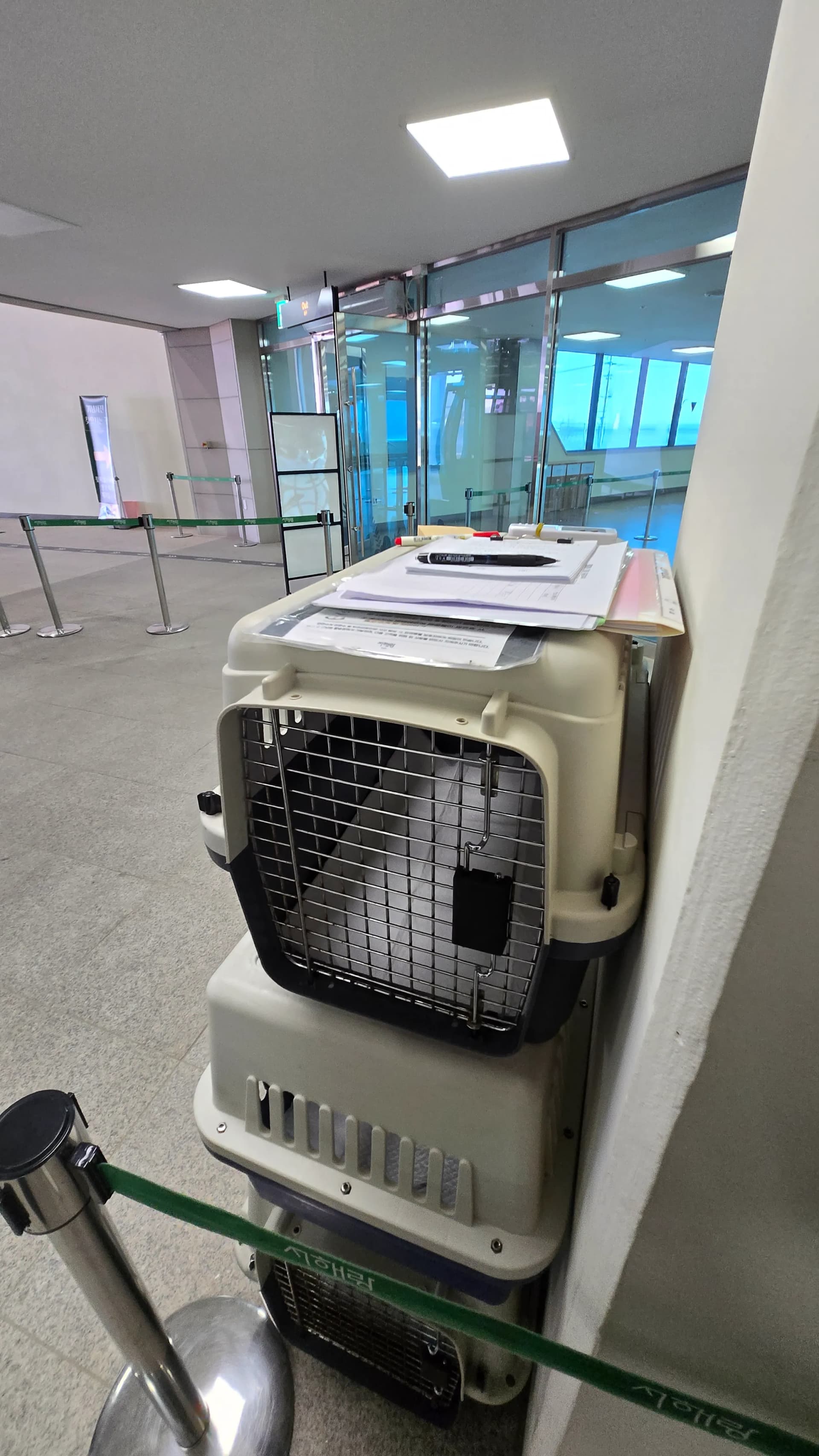 Umhlahlandlela wezilwane ezifuywayo ku-cable car | 하이제이에스비