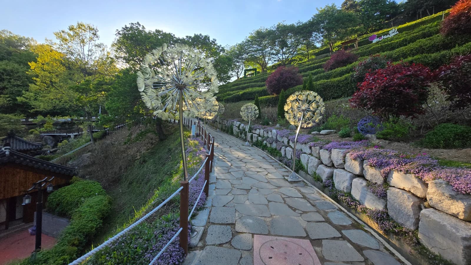 보성 녹차밭 하산길, 보라색 꽃과 민들레 모양 조형물이 역광에 반짝이는 돌길