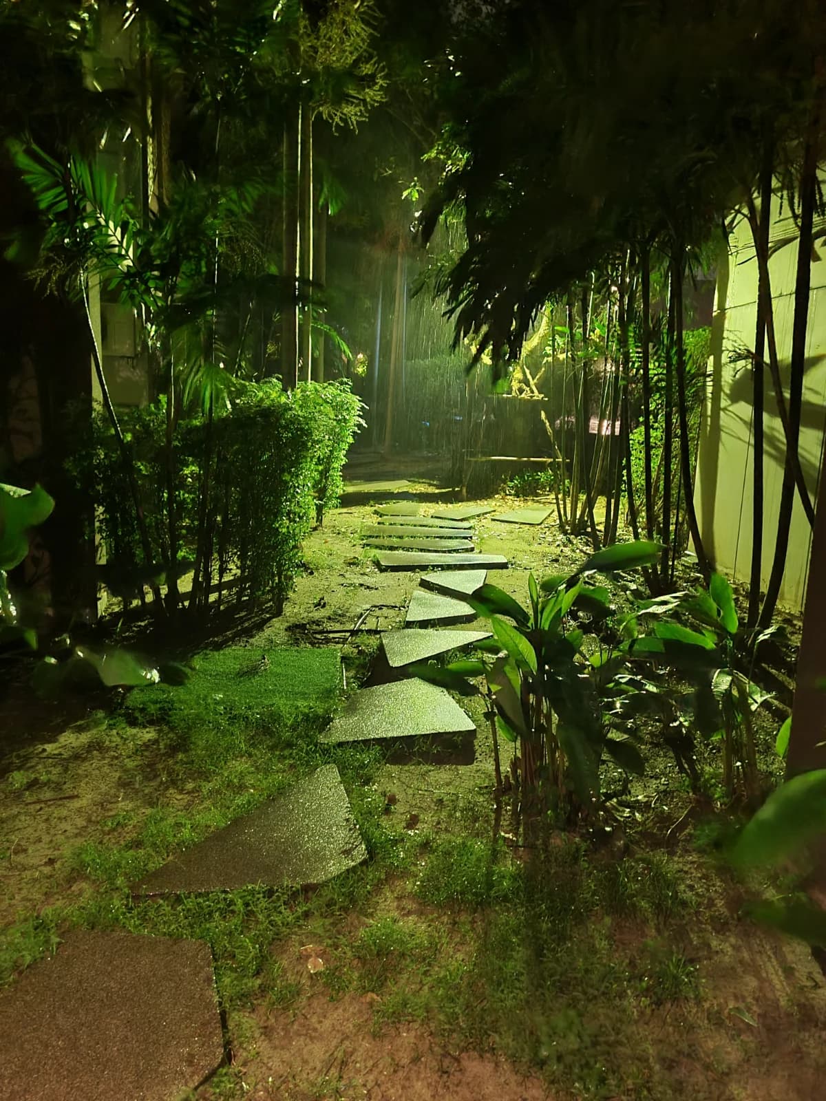 Divalux Resort 야간 산책로 나무 사이 조명