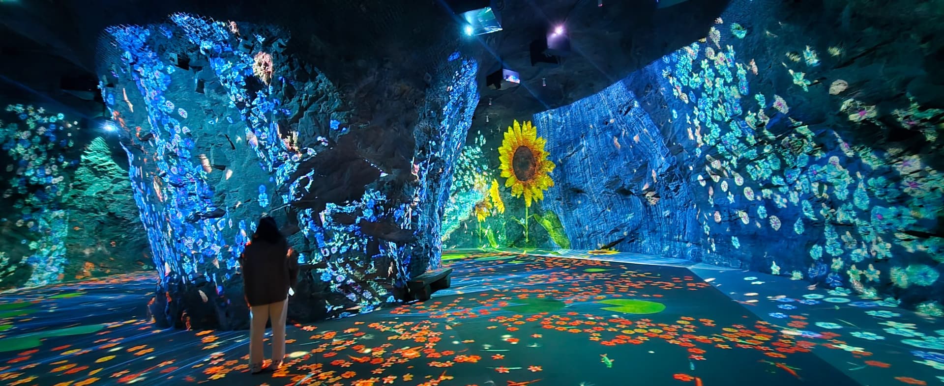 Seni media projeksi bunga matahari di dinding batu Gua Hwaam | 하이제이에스비