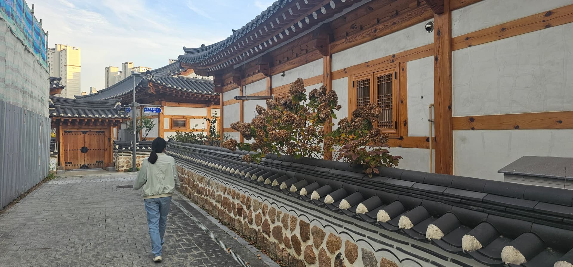 세종 한옥마을 안쪽 골목 — 검은 기와 돌담 위로 마른 수국이 고개를 내밀고 있다 | 하이제이에스비