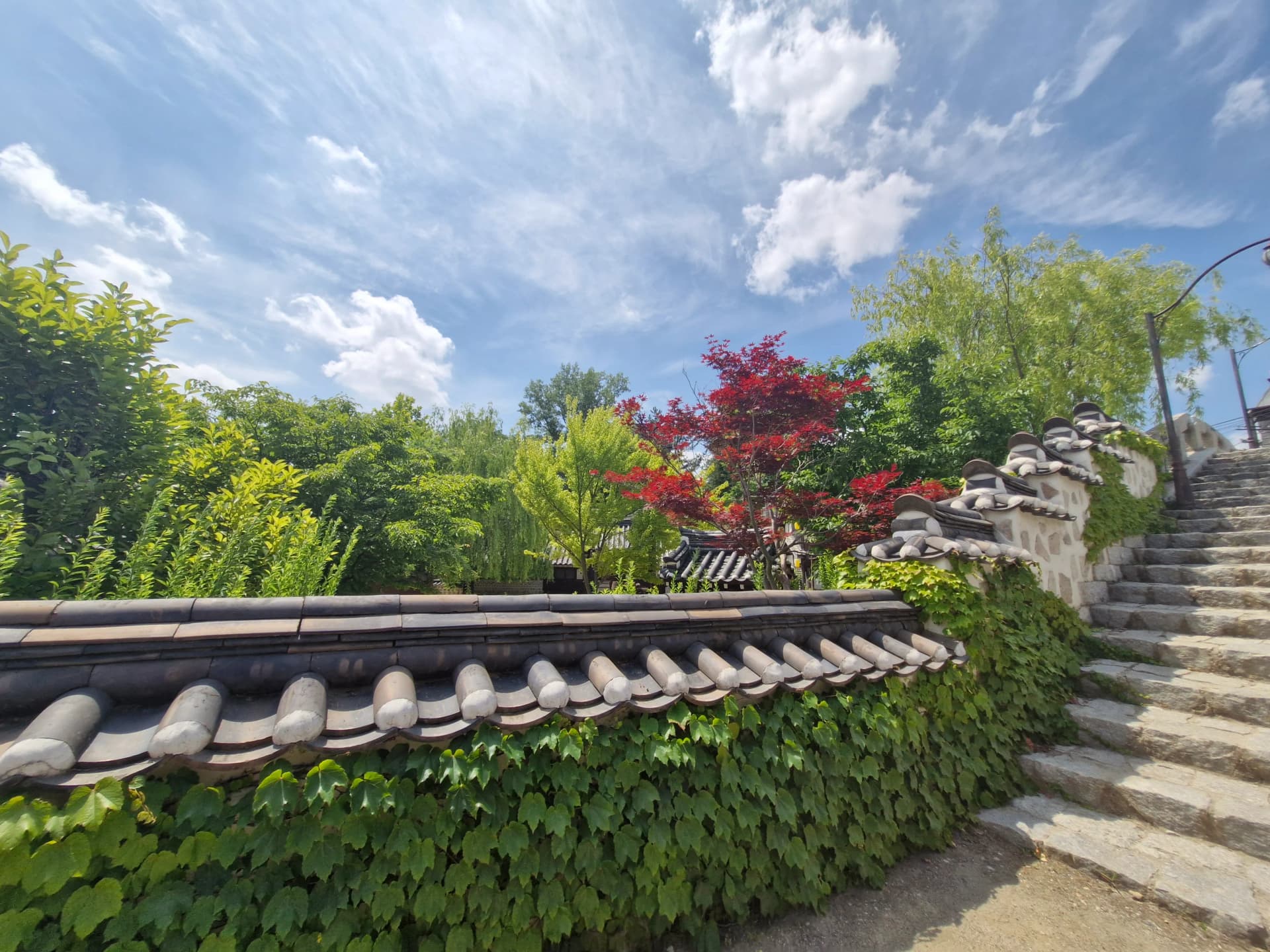 Pohon maple hijau dan merah menjulang di balik dinding genteng dengan tangga batu | 하이제이에스비