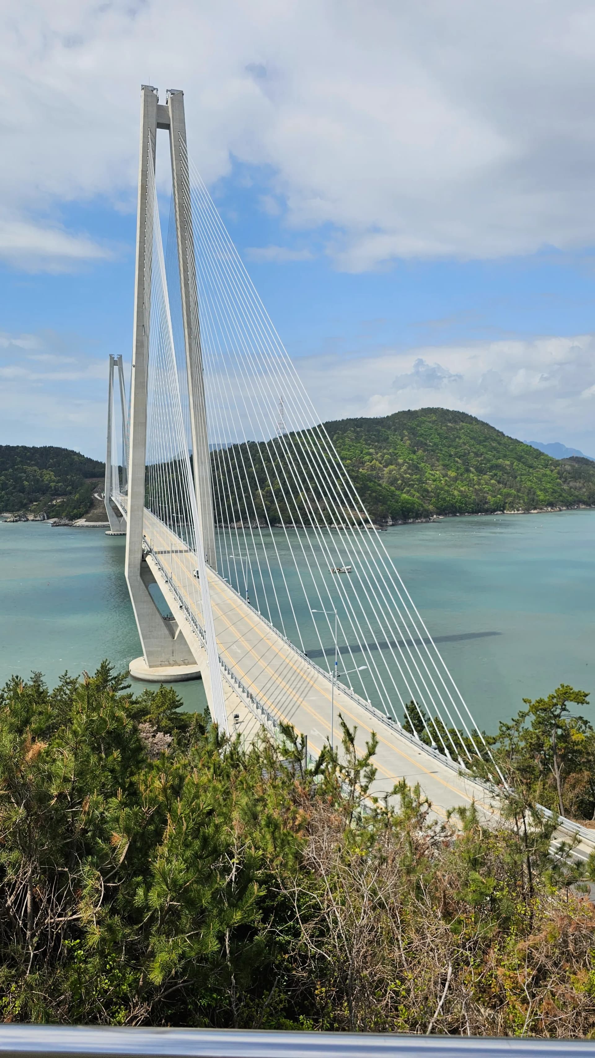 لقطة مقرّبة لكوابل جسر جوبالدي المعلق الفولاذية تنحدر من البرج نحو البحر