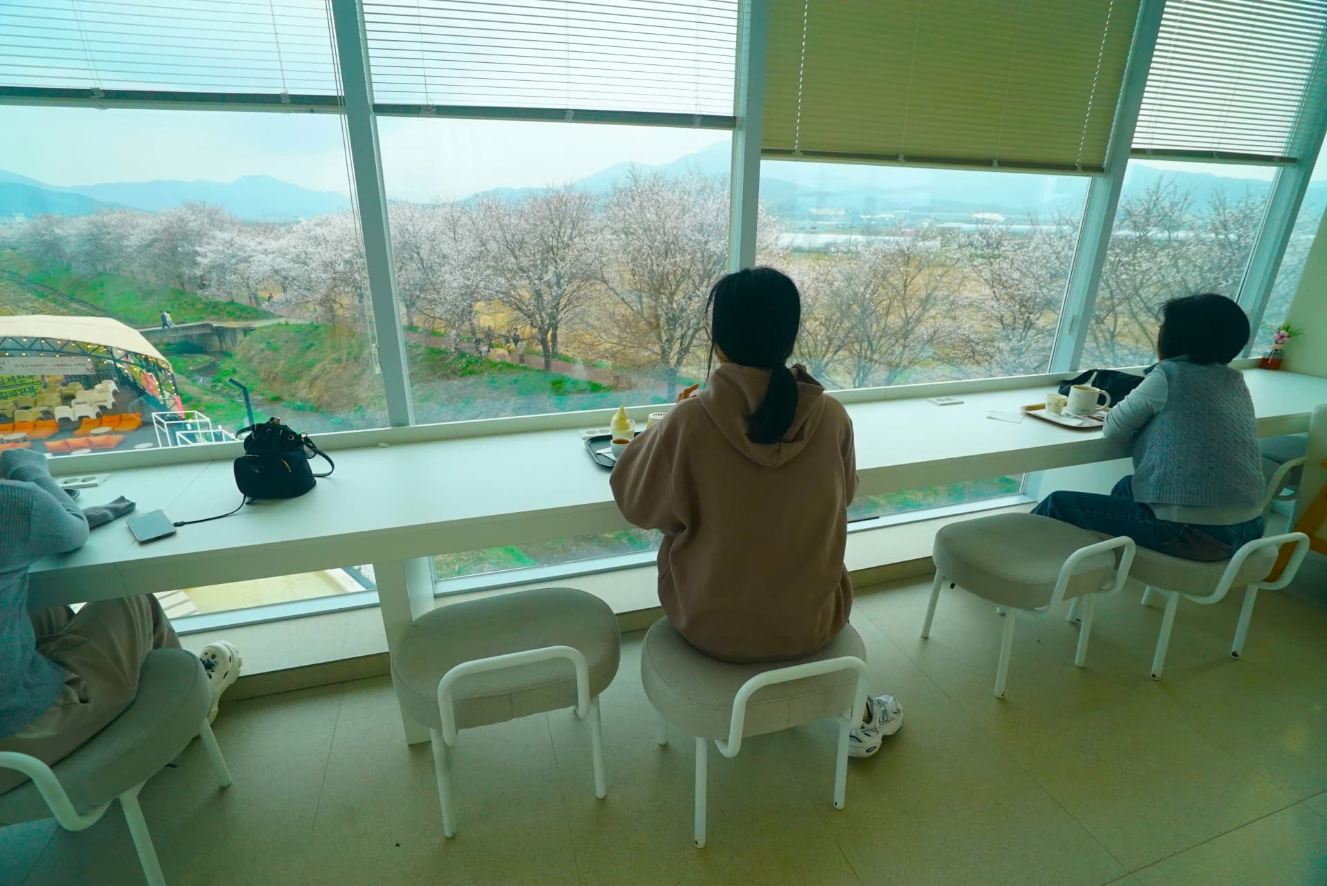 Window bar seat with cherry blossom trees and mountain ridgeline view from the first floor cafe