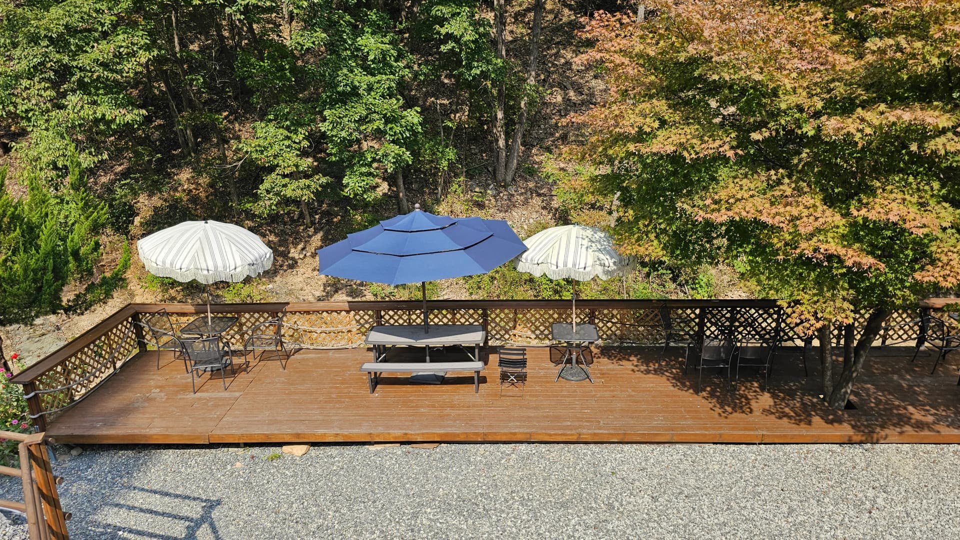 نیچے والا لکڑی کا ڈیک، تین سن شیڈ اور جنگل میں گھری آؤٹ ڈور نشستیں