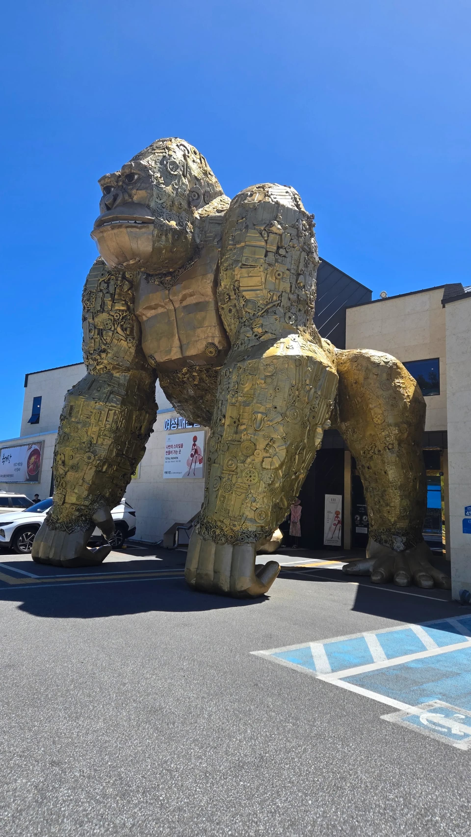 경주 양남 더킹 카페 입구 앞 거대한 황금 고릴라 킹콩 조형물 전경 - The King Cafe Gyeongju giant golden gorilla sculpture at entrance | 하이제이에스비