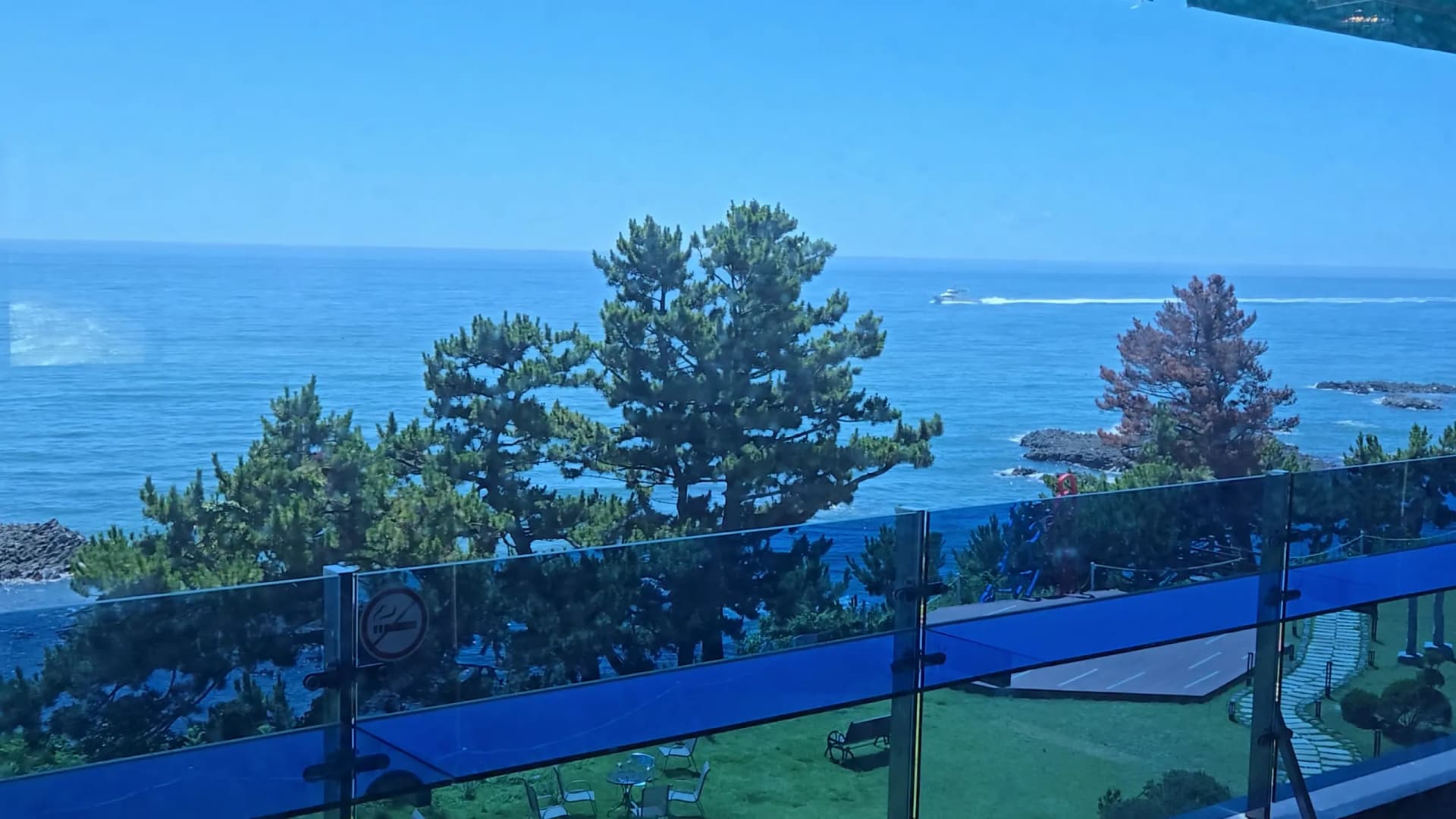 더킹 카페 테라스에서 직접 내다본 동해 바다 전망 - 소나무 잔디 정원 주상절리 산책로 - The King Cafe terrace direct East Sea view with pine trees garden and Jusangjeolli trail below | 하이제이에스비
