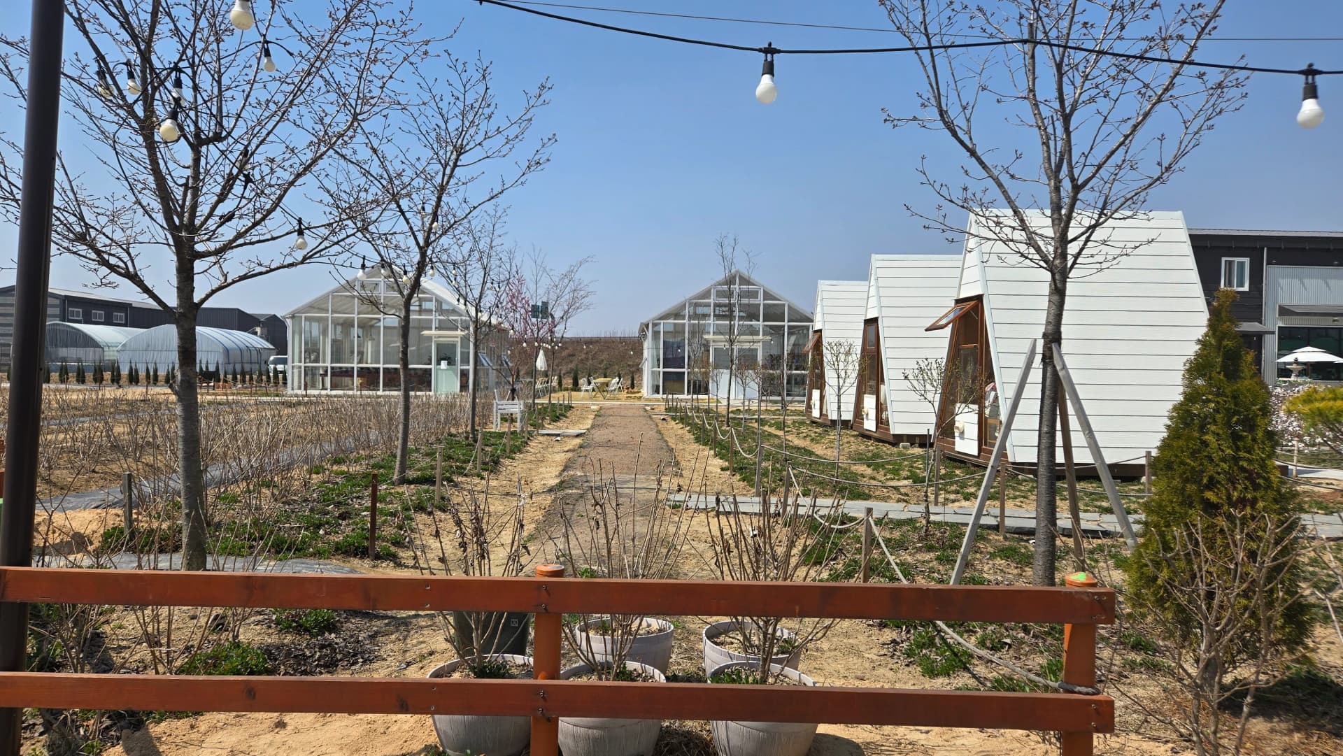 Two glass greenhouses and A-frame cabins side by side seen from inside the garden at Toseong Village