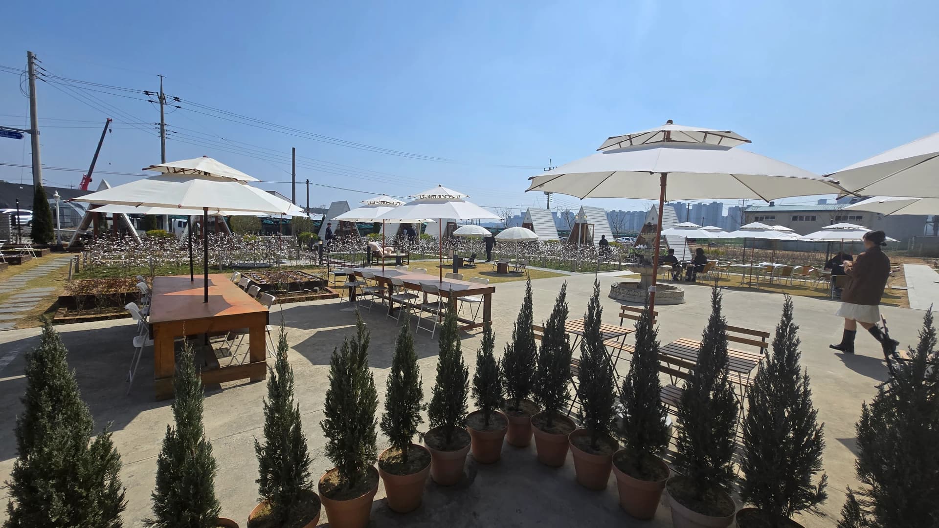 Outdoor seating area at Toseong Village with large timber tables and umbrellas backed by cotton plant beds