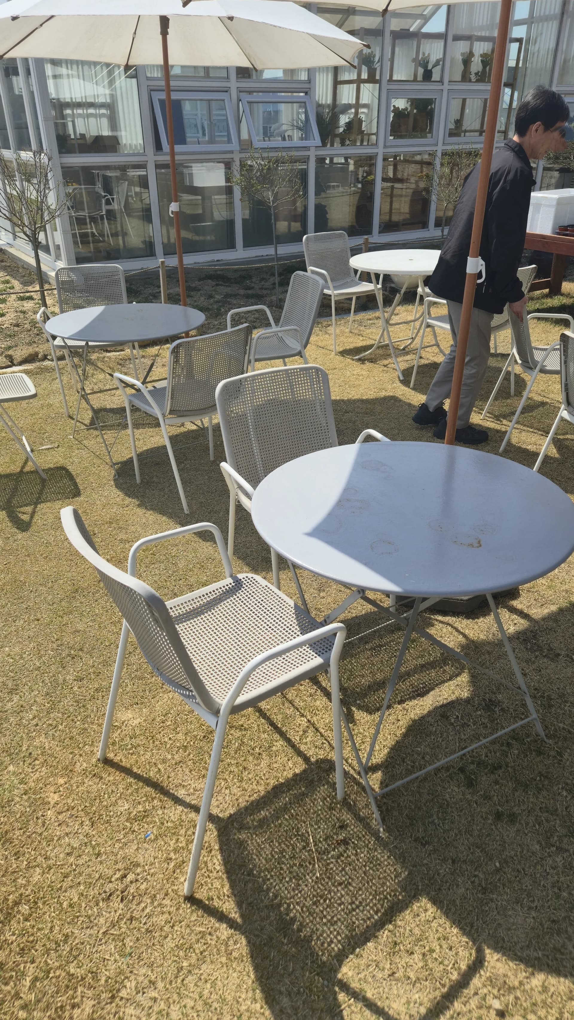Grey round tables and mesh chairs scattered across the lawn in front of the glass greenhouse at Toseong Village
