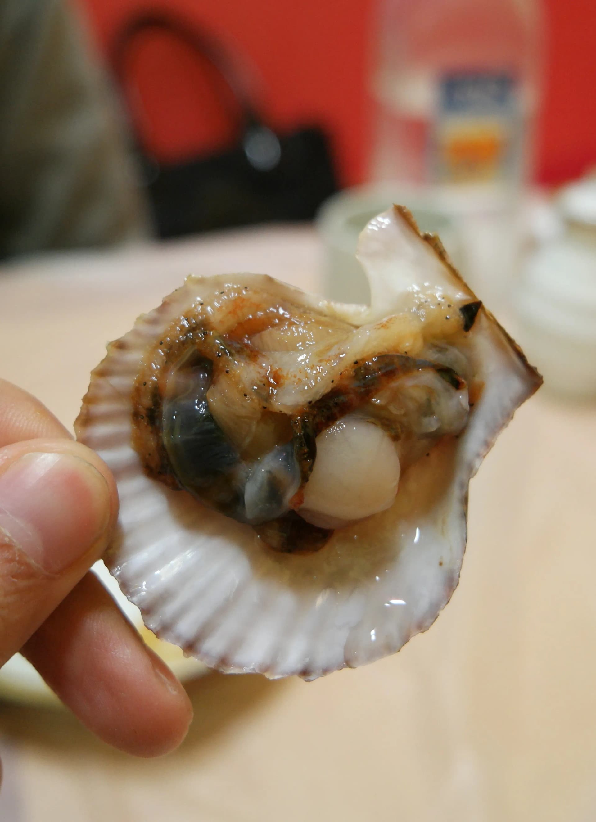 손으로 껍데기째 집어 올린 조개회 - 통통한 속살이 보이는 바닷가 스타일 | 하이제이에스비