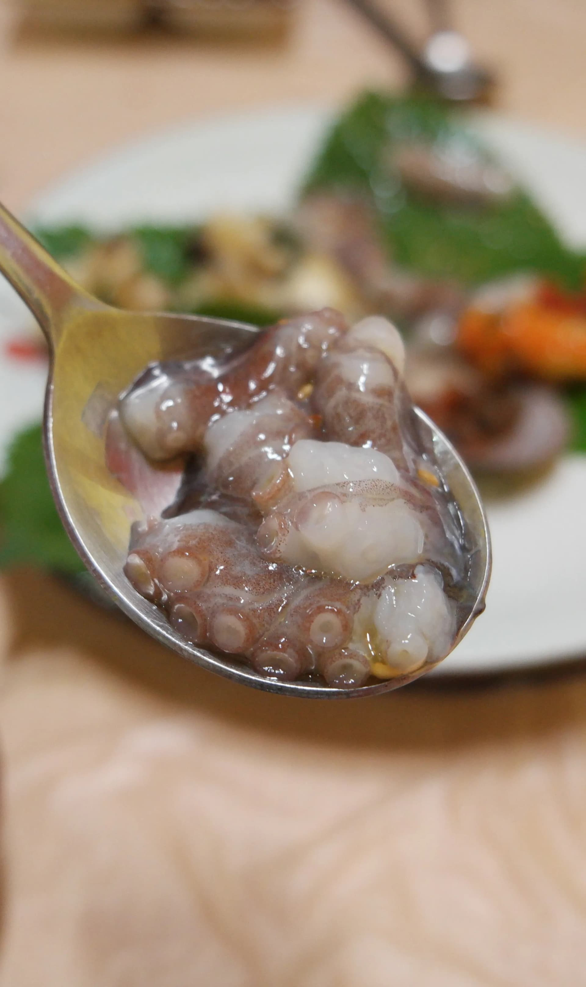 숟가락 위에 올린 산낙지 한 스푼 - 빨판이 선명하게 보이는 꿈틀거리는 산낙지 | 하이제이에스비