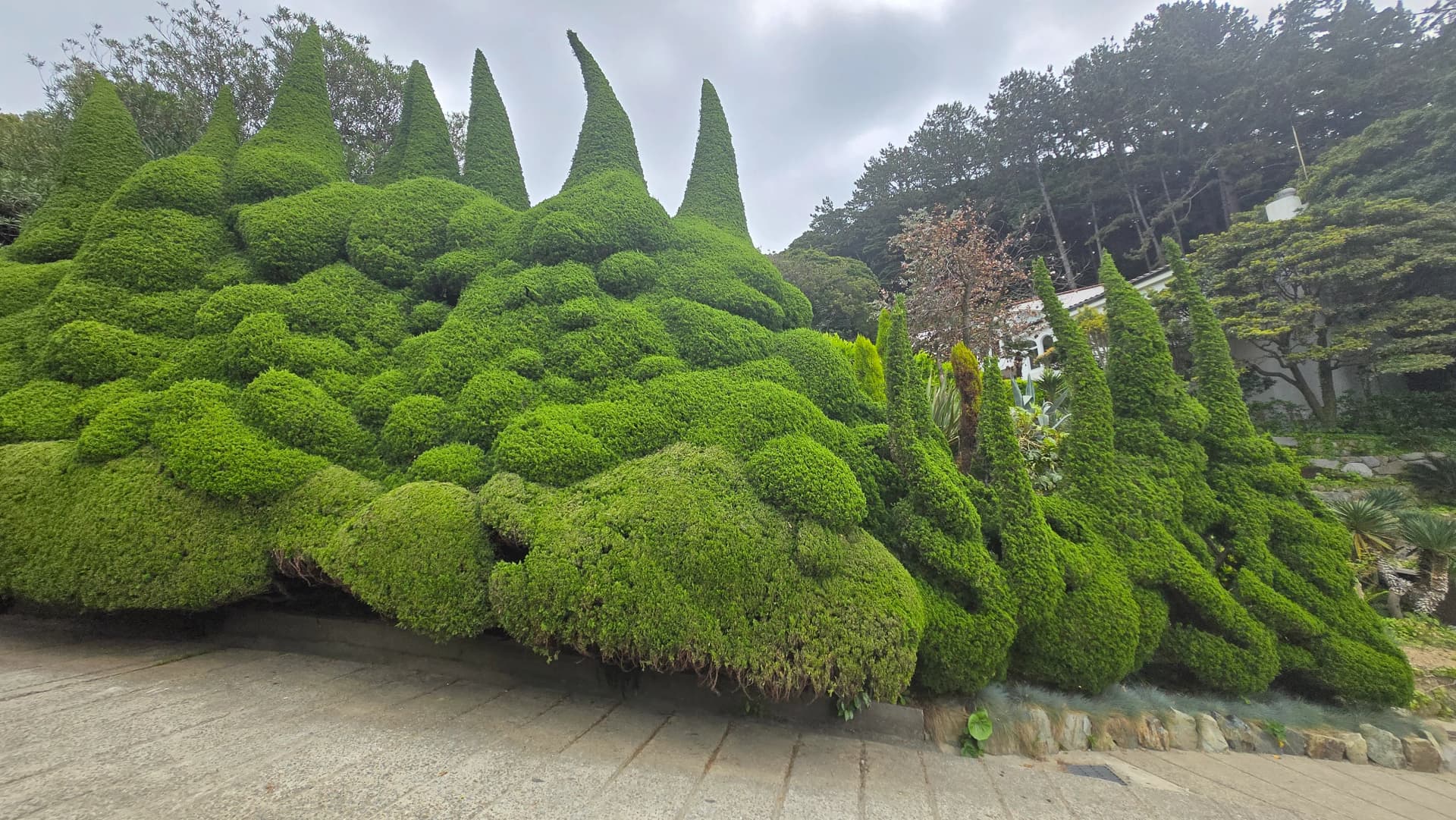 외도 보타니아 나무로 깎은 거대한 공룡 조형물 | 하이제이에스비