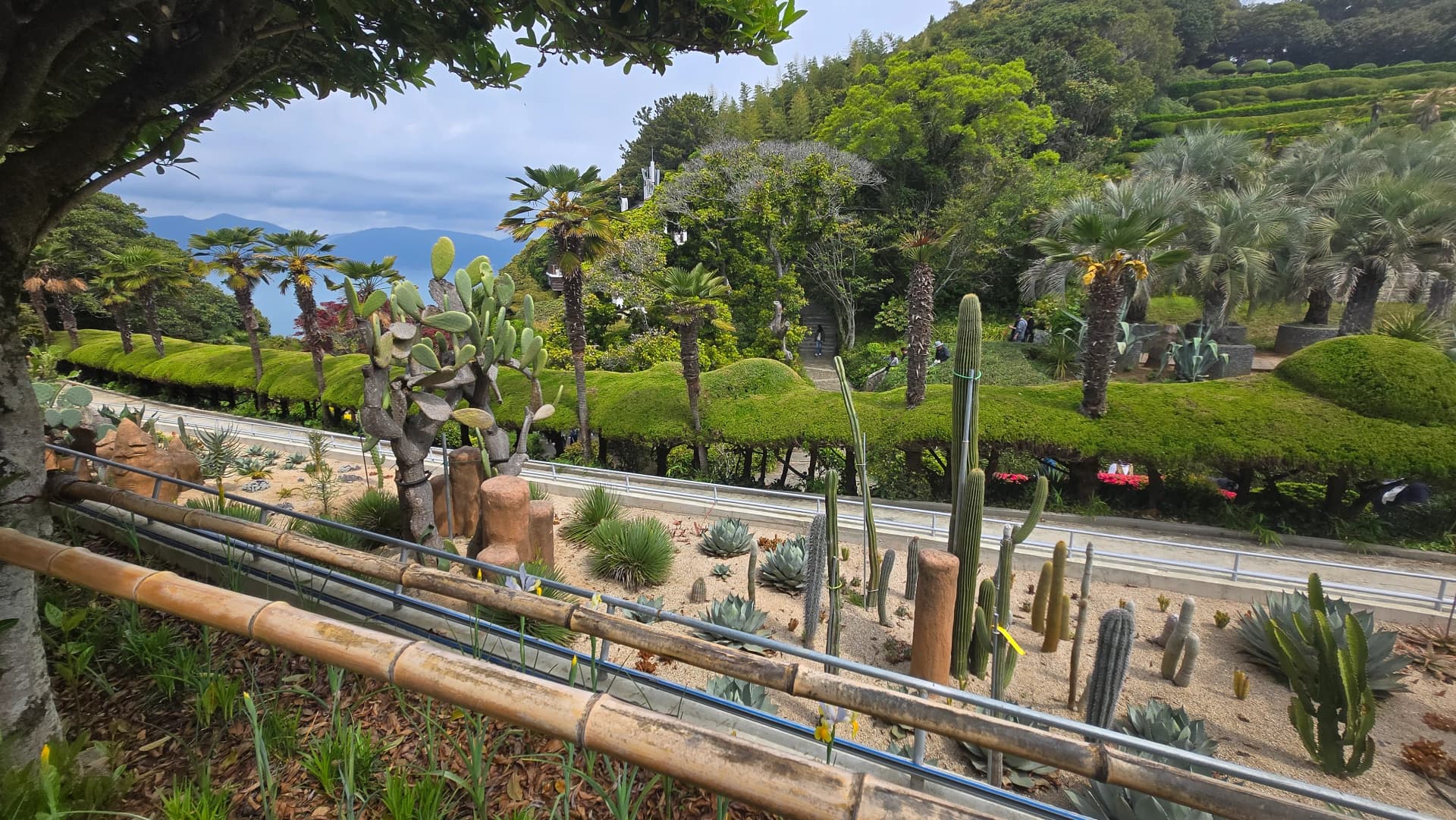 외도 보타니아 선인장 가든 다양한 선인장과 조각상 | 하이제이에스비
