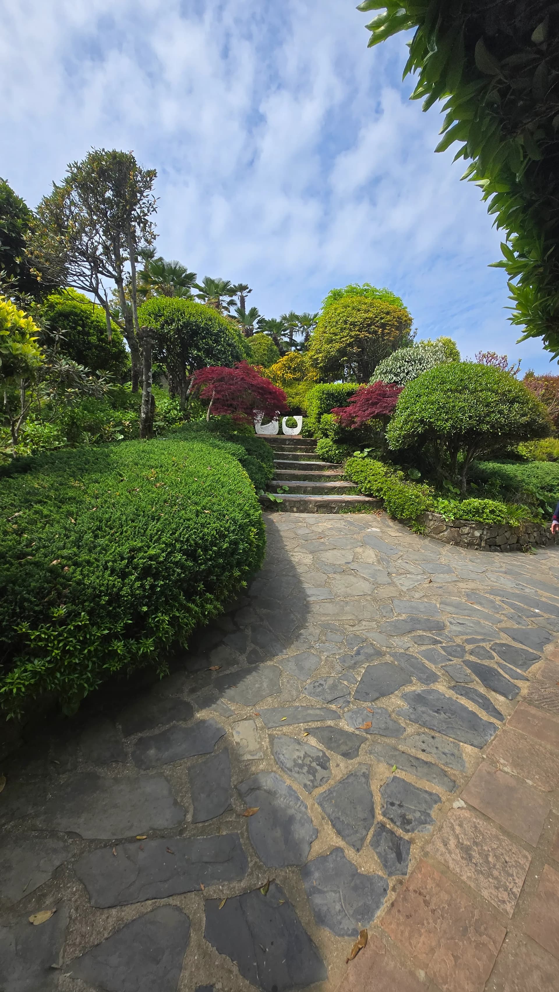 외도 보타니아 돌바닥 산책로 양쪽 초록 나무와 하얀 조각상 | 하이제이에스비