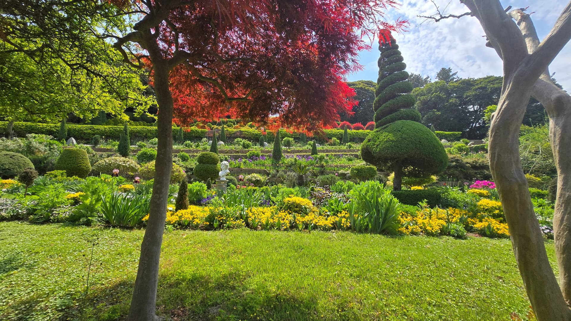외도 보타니아 빨간 단풍나무 아래 노란 꽃과 나선형 초록 나무 | 하이제이에스비