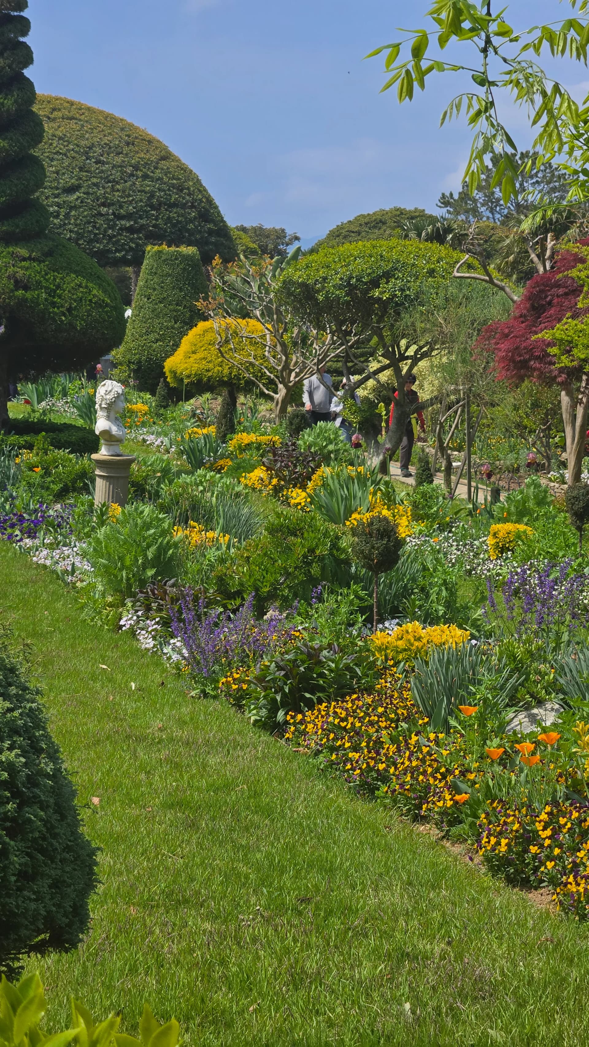 외도 보타니아 다양한 색깔 꽃들과 조각상 클로즈업 | 하이제이에스비